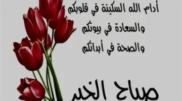 تحصين يومي.. كلمات أذكار الصباح المكتوبة لحماية النفس والأهل من كل سوء